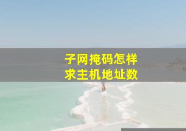 子网掩码怎样求主机地址数