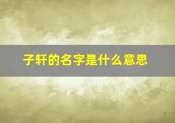 子轩的名字是什么意思