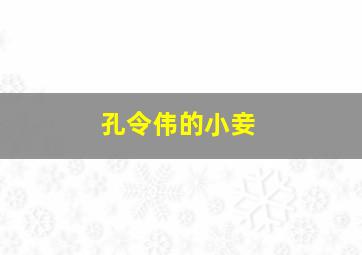 孔令伟的小妾