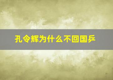 孔令辉为什么不回国乒