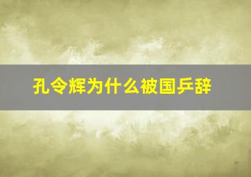 孔令辉为什么被国乒辞