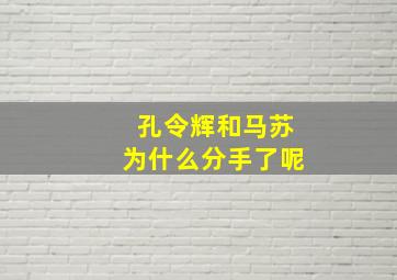 孔令辉和马苏为什么分手了呢