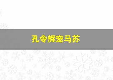 孔令辉宠马苏