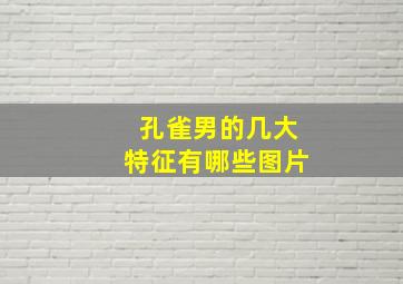 孔雀男的几大特征有哪些图片