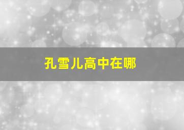 孔雪儿高中在哪