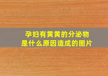 孕妇有黄黄的分泌物是什么原因造成的图片