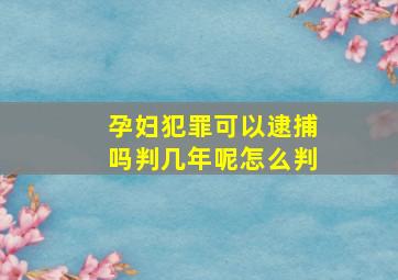 孕妇犯罪可以逮捕吗判几年呢怎么判