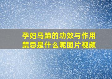 孕妇马蹄的功效与作用禁忌是什么呢图片视频