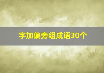 字加偏旁组成语30个