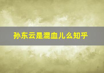 孙东云是混血儿么知乎