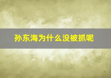 孙东海为什么没被抓呢