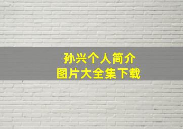 孙兴个人简介图片大全集下载