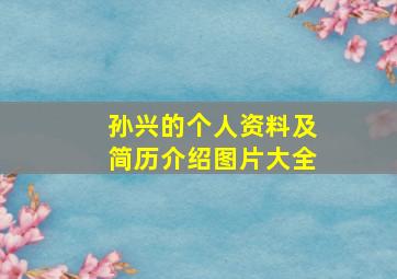 孙兴的个人资料及简历介绍图片大全