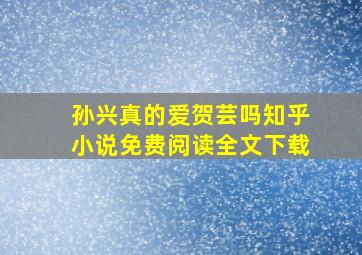 孙兴真的爱贺芸吗知乎小说免费阅读全文下载