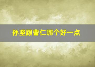 孙坚跟曹仁哪个好一点