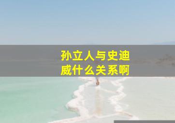 孙立人与史迪威什么关系啊