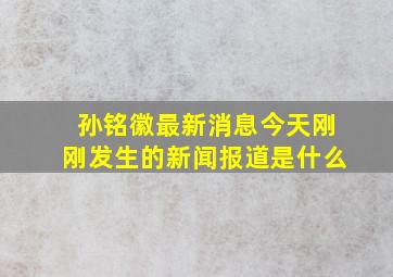 孙铭徽最新消息今天刚刚发生的新闻报道是什么