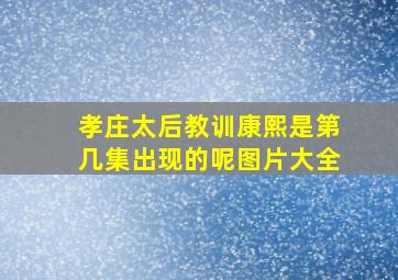 孝庄太后教训康熙是第几集出现的呢图片大全