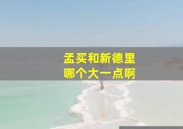 孟买和新德里哪个大一点啊