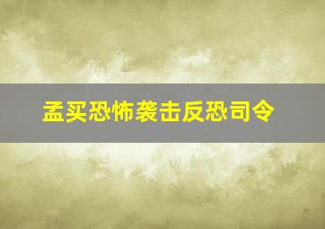 孟买恐怖袭击反恐司令