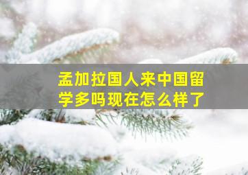 孟加拉国人来中国留学多吗现在怎么样了