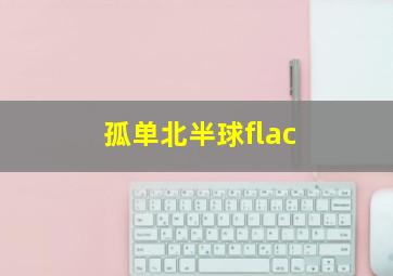 孤单北半球flac