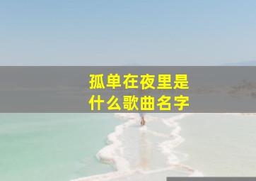 孤单在夜里是什么歌曲名字