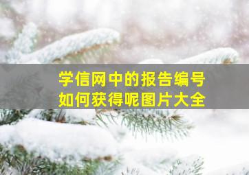 学信网中的报告编号如何获得呢图片大全