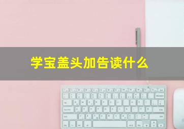 学宝盖头加告读什么