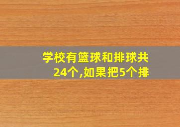 学校有篮球和排球共24个,如果把5个排