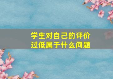 学生对自己的评价过低属于什么问题