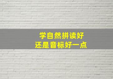 学自然拼读好还是音标好一点