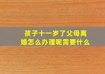 孩子十一岁了父母离婚怎么办理呢需要什么