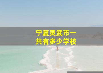 宁夏灵武市一共有多少学校