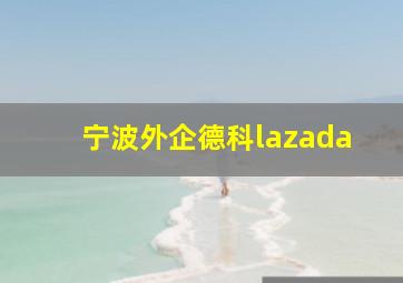 宁波外企德科lazada