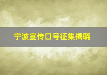 宁波宣传口号征集揭晓