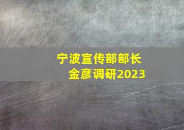 宁波宣传部部长金彦调研2023