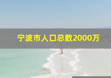 宁波市人口总数2000万