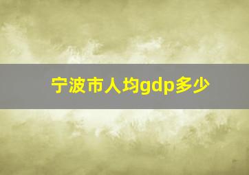 宁波市人均gdp多少