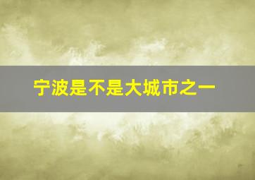 宁波是不是大城市之一