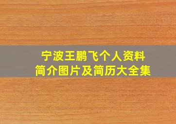 宁波王鹏飞个人资料简介图片及简历大全集