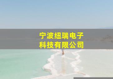 宁波纽瑞电子科技有限公司