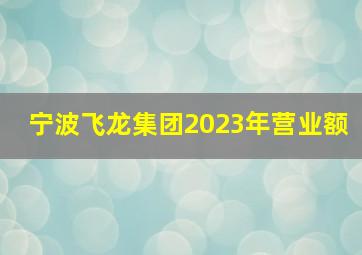 宁波飞龙集团2023年营业额