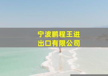 宁波鹏程王进出口有限公司