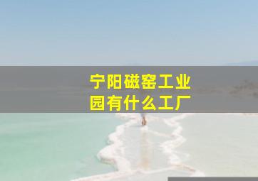 宁阳磁窑工业园有什么工厂