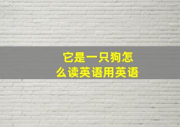 它是一只狗怎么读英语用英语