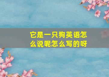 它是一只狗英语怎么说呢怎么写的呀