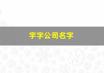 宇字公司名字