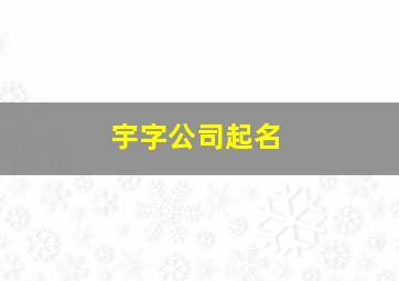 宇字公司起名