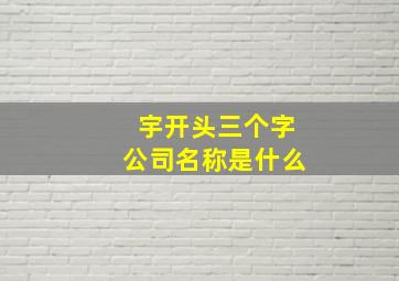 宇开头三个字公司名称是什么